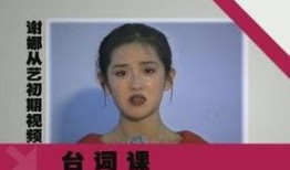 谢娜爆料录音视频播放时间,揭秘幕后故事，时长曝光