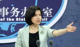 张岚最新爆料新闻视频,揭秘最新热点事件内幕